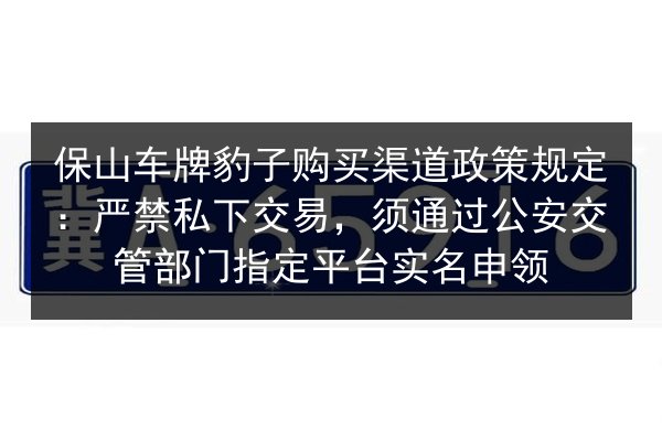 保山车牌豹子购买渠道政策规定:严禁私下交易,须通过公安交管部门指定平台实名申领 第1张 保山车牌豹子购买渠道政策规定:严禁私下交易,须通过公安交管部门指定平台实名申领 第1张