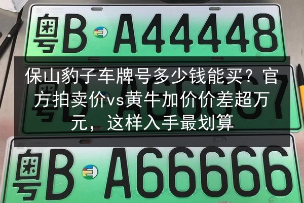 保山豹子车牌号多少钱能买？官方拍卖价vs黄牛加价价差超万元，这样入手最划算 第2张