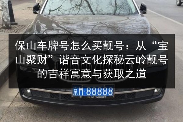 保山车牌号怎么买靓号：从“宝山聚财”谐音文化探秘云岭靓号的吉祥寓意与获取之道 第2张
