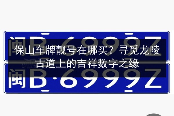 保山车牌靓号在哪买?寻觅龙陵古道上的吉祥数字之缘 第3张 保山车牌靓号在哪买?寻觅龙陵古道上的吉祥数字之缘 第3张