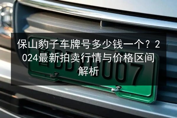 保山豹子车牌号多少钱一个？2024最新拍卖行情与价格区间解析 第2张