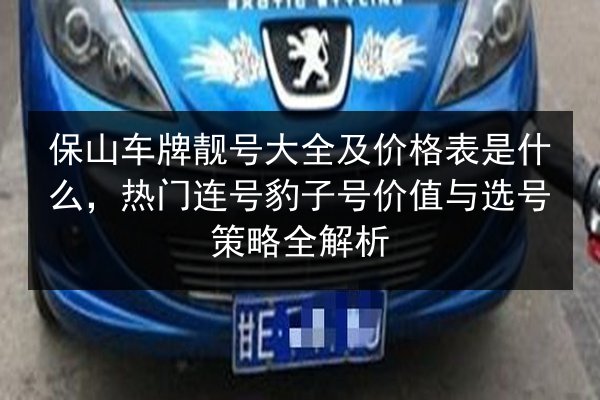 保山车牌靓号大全及价格表是什么,热门连号豹子号价值与选号策略全解析 第3张 保山车牌靓号大全及价格表是什么,热门连号豹子号价值与选号策略全解析 第3张