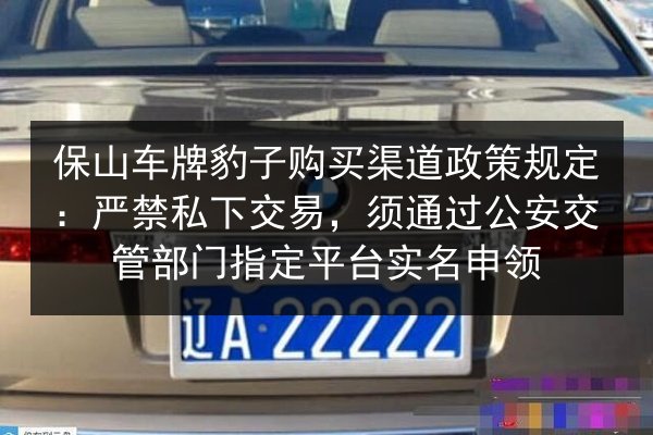 保山车牌豹子购买渠道政策规定:严禁私下交易,须通过公安交管部门指定平台实名申领 第2张 保山车牌豹子购买渠道政策规定:严禁私下交易,须通过公安交管部门指定平台实名申领 第2张