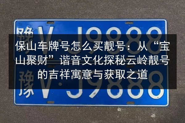 保山车牌号怎么买靓号：从“宝山聚财”谐音文化探秘云岭靓号的吉祥寓意与获取之道 第3张