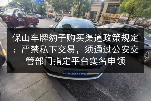 保山车牌豹子购买渠道政策规定:严禁私下交易,须通过公安交管部门指定平台实名申领 第3张 保山车牌豹子购买渠道政策规定:严禁私下交易,须通过公安交管部门指定平台实名申领 第3张