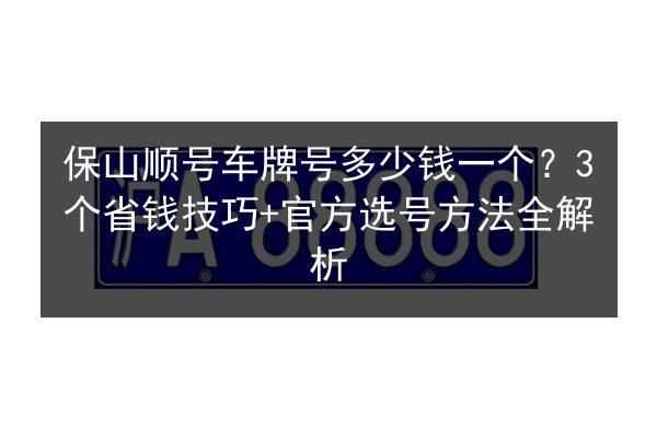 保山顺号车牌号多少钱一个？3个省钱技巧+官方选号方法全解析 第2张