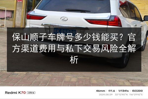 保山顺子车牌号多少钱能买?官方渠道费用与私下交易风险全解析 第2张 保山顺子车牌号多少钱能买?官方渠道费用与私下交易风险全解析 第2张