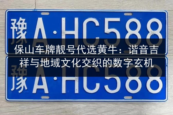 保山车牌靓号代选黄牛：谐音吉祥与地域文化交织的数字玄机 第2张