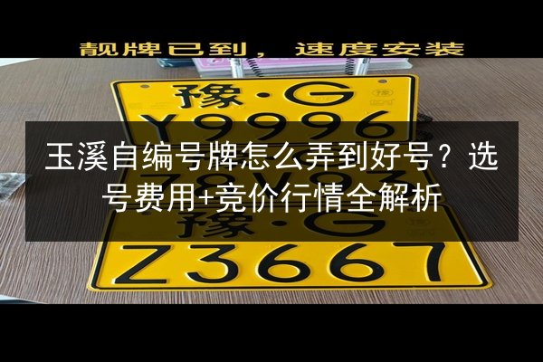 玉溪自编号牌怎么弄到好号？选号费用+竞价行情全解析 第2张