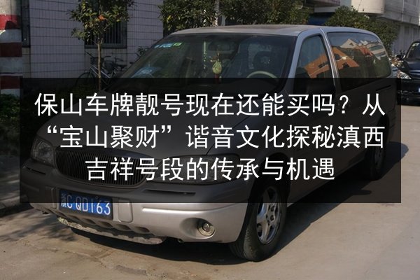保山车牌靓号现在还能买吗？从“宝山聚财”谐音文化探秘滇西吉祥号段的传承与机遇 第3张