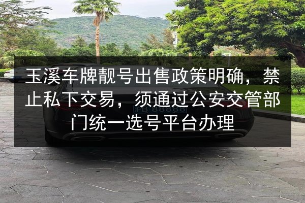 玉溪车牌靓号出售政策明确,禁止私下交易,须通过公安交管部门统一选号平台办理 第3张 玉溪车牌靓号出售政策明确,禁止私下交易,须通过公安交管部门统一选号平台办理 第3张