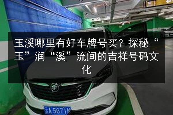 玉溪哪里有好车牌号买？探秘“玉”润“溪”流间的吉祥号码文化 第2张