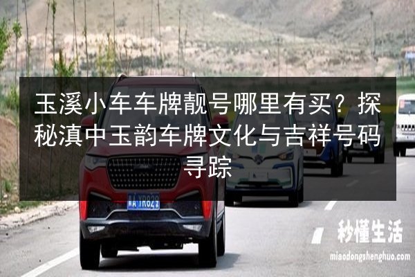 玉溪小车车牌靓号哪里有买？探秘滇中玉韵车牌文化与吉祥号码寻踪 第2张