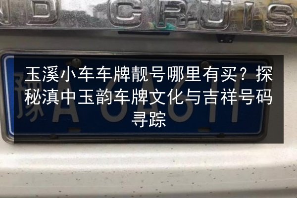 玉溪小车车牌靓号哪里有买？探秘滇中玉韵车牌文化与吉祥号码寻踪 第3张
