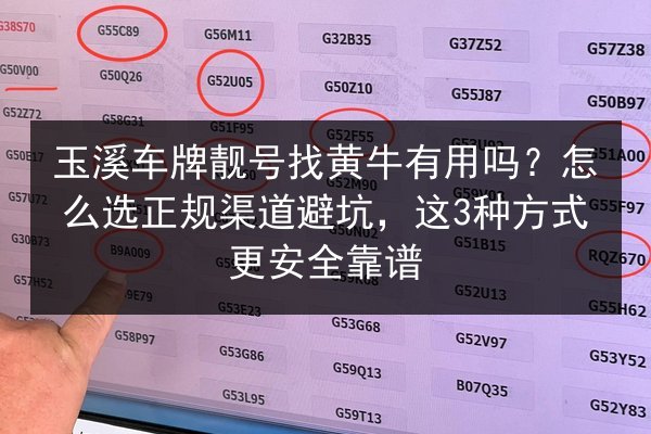 玉溪车牌靓号找黄牛有用吗?怎么选正规渠道避坑,这3种方式更安全靠谱 第2张 玉溪车牌靓号找黄牛有用吗?怎么选正规渠道避坑,这3种方式更安全靠谱 第2张