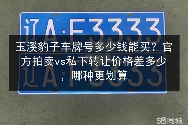 玉溪豹子车牌号多少钱能买？官方拍卖vs私下转让价格差多少，哪种更划算
