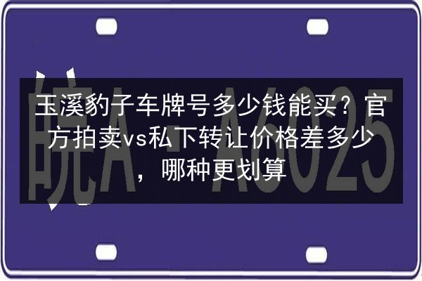 玉溪豹子车牌号多少钱能买？官方拍卖vs私下转让价格差多少，哪种更划算 第2张