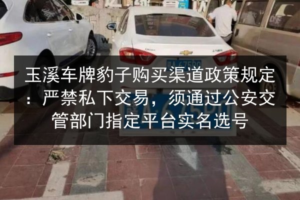 玉溪车牌豹子购买渠道政策规定：严禁私下交易，须通过公安交管部门指定平台实名选号 第2张