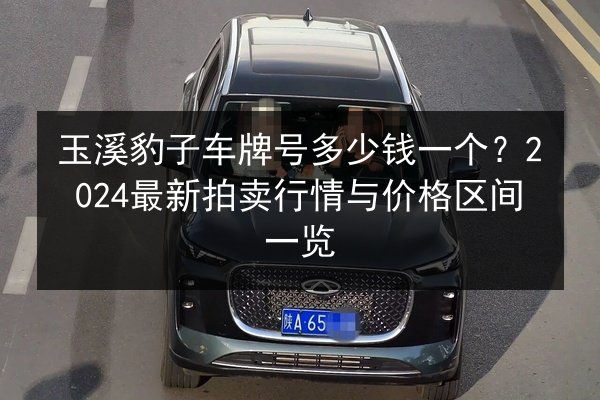 玉溪豹子车牌号多少钱一个?2024最新拍卖行情与价格区间一览 第3张 玉溪豹子车牌号多少钱一个?2024最新拍卖行情与价格区间一览 第3张