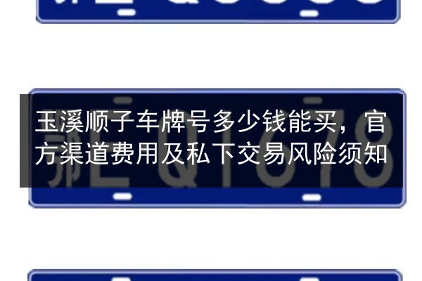玉溪顺子车牌号多少钱能买,官方渠道费用及私下交易风险须知 第2张 玉溪顺子车牌号多少钱能买,官方渠道费用及私下交易风险须知 第2张