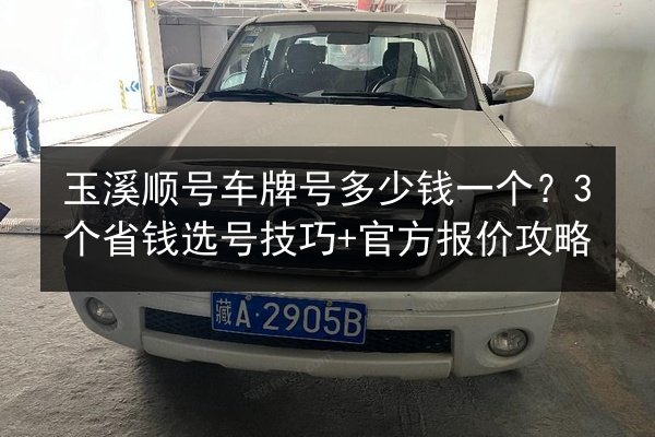 玉溪顺号车牌号多少钱一个?3个省钱选号技巧+官方报价攻略 第3张 玉溪顺号车牌号多少钱一个?3个省钱选号技巧+官方报价攻略 第3张