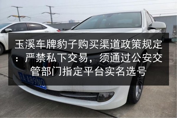 玉溪车牌豹子购买渠道政策规定：严禁私下交易，须通过公安交管部门指定平台实名选号 第3张
