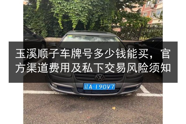 玉溪顺子车牌号多少钱能买,官方渠道费用及私下交易风险须知 第3张 玉溪顺子车牌号多少钱能买,官方渠道费用及私下交易风险须知 第3张