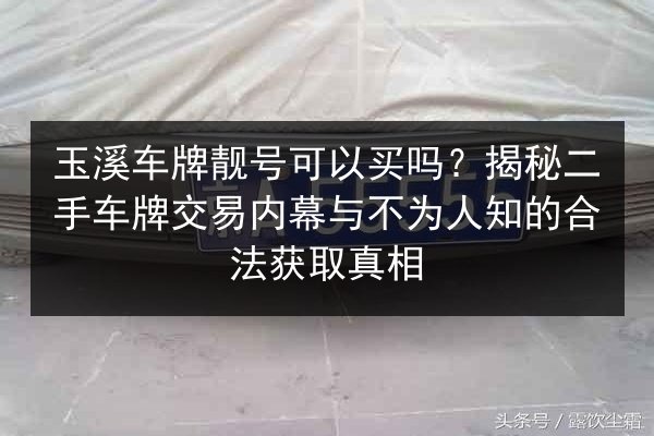 玉溪车牌靓号可以买吗?揭秘二手车牌交易内幕与不为人知的合法获取真相 第2张 玉溪车牌靓号可以买吗?揭秘二手车牌交易内幕与不为人知的合法获取真相 第2张