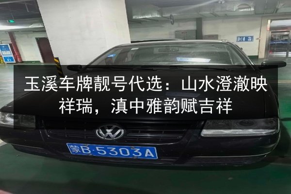 玉溪车牌靓号代选:山水澄澈映祥瑞,滇中雅韵赋吉祥 第2张 玉溪车牌靓号代选:山水澄澈映祥瑞,滇中雅韵赋吉祥 第2张