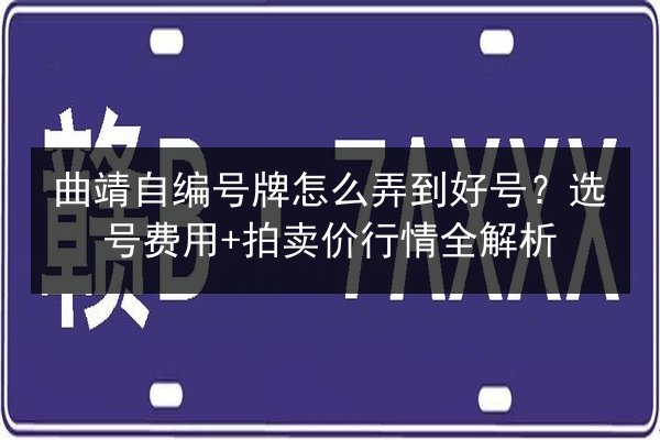 曲靖自编号牌怎么弄到好号？选号费用+拍卖价行情全解析