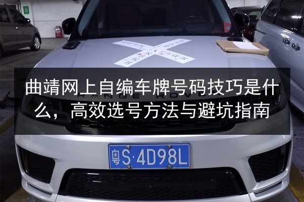 曲靖网上自编车牌号码技巧是什么，高效选号方法与避坑指南 第3张