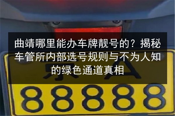 曲靖哪里能办车牌靓号的？揭秘车管所内部选号规则与不为人知的绿色通道真相 第2张