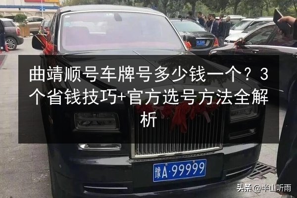 曲靖顺号车牌号多少钱一个?3个省钱技巧+官方选号方法全解析 第3张 曲靖顺号车牌号多少钱一个?3个省钱技巧+官方选号方法全解析 第3张