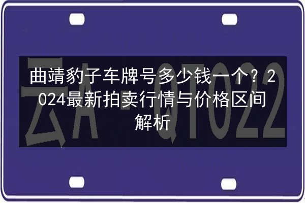 曲靖豹子车牌号多少钱一个？2024最新拍卖行情与价格区间解析 第3张