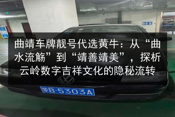 曲靖车牌靓号代选黄牛：从“曲水流觞”到“靖善靖美”，探析云岭数字吉祥文化的隐秘流转 第1张