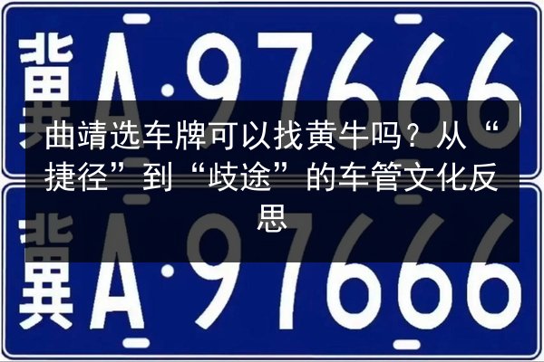 曲靖选车牌可以找黄牛吗？从“捷径”到“歧途”的车管文化反思 第2张