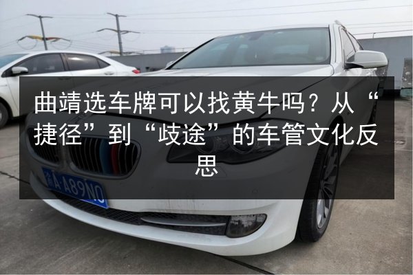 曲靖选车牌可以找黄牛吗？从“捷径”到“歧途”的车管文化反思 第3张