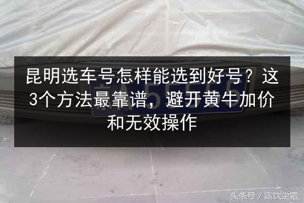 昆明选车号怎样能选到好号？这3个方法最靠谱，避开黄牛加价和无效操作 第2张