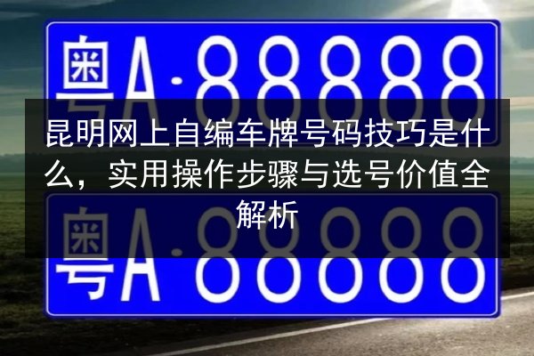 昆明网上自编车牌号码技巧是什么，实用操作步骤与选号价值全解析 第3张