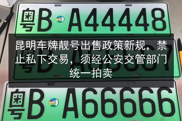 昆明车牌靓号出售政策新规,禁止私下交易,须经公安交管部门统一拍卖 第2张 昆明车牌靓号出售政策新规,禁止私下交易,须经公安交管部门统一拍卖 第2张