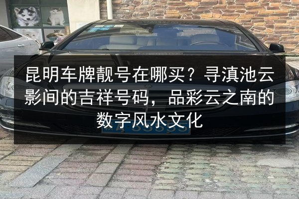 昆明车牌靓号在哪买?寻滇池云影间的吉祥号码,品彩云之南的数字风水文化 第2张 昆明车牌靓号在哪买?寻滇池云影间的吉祥号码,品彩云之南的数字风水文化 第2张