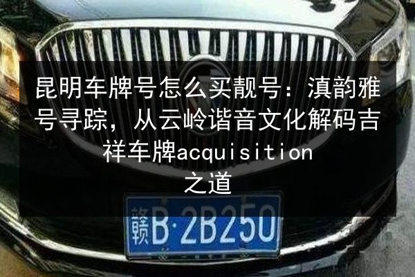 昆明车牌号怎么买靓号:滇韵雅号寻踪,从云岭谐音文化解码吉祥车牌acquisition之道 第2张 昆明车牌号怎么买靓号:滇韵雅号寻踪,从云岭谐音文化解码吉祥车牌acquisition之道 第2张
