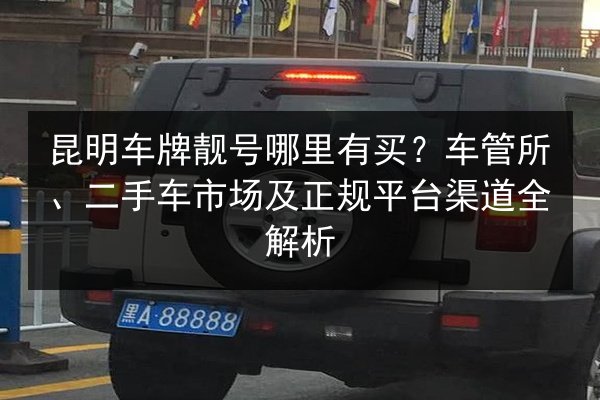昆明车牌靓号哪里有买？车管所、二手车市场及正规平台渠道全解析