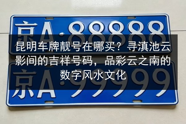 昆明车牌靓号在哪买?寻滇池云影间的吉祥号码,品彩云之南的数字风水文化 第3张 昆明车牌靓号在哪买?寻滇池云影间的吉祥号码,品彩云之南的数字风水文化 第3张