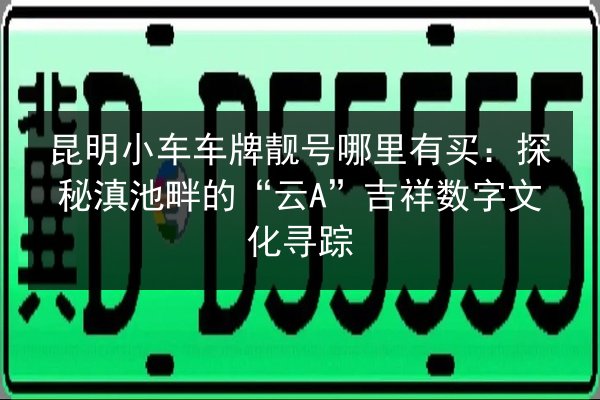 昆明小车车牌靓号哪里有买：探秘滇池畔的“云A”吉祥数字文化寻踪