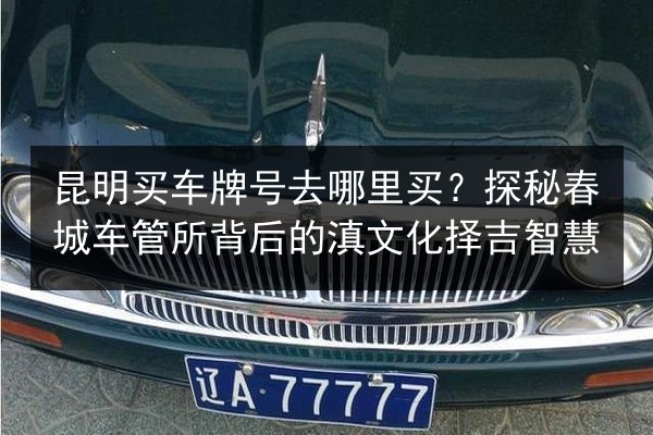昆明买车牌号去哪里买?探秘春城车管所背后的滇文化择吉智慧 第1张 昆明买车牌号去哪里买?探秘春城车管所背后的滇文化择吉智慧 第1张