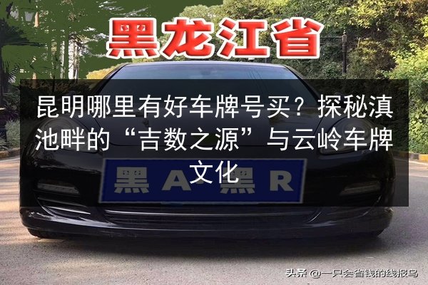 昆明哪里有好车牌号买?探秘滇池畔的“吉数之源”与云岭车牌文化 第2张 昆明哪里有好车牌号买?探秘滇池畔的“吉数之源”与云岭车牌文化 第2张