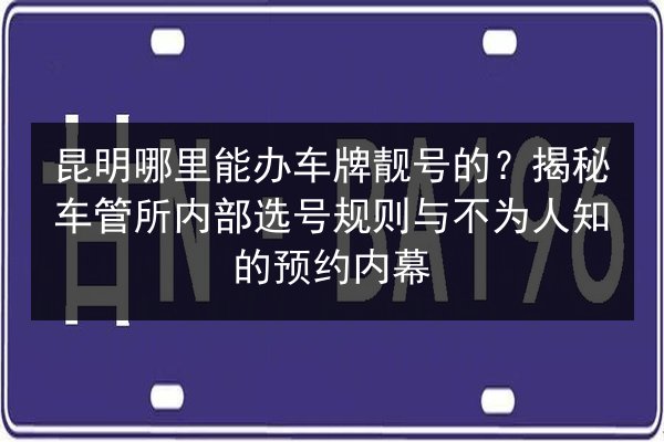 昆明哪里能办车牌靓号的?揭秘车管所内部选号规则与不为人知的预约内幕 第3张 昆明哪里能办车牌靓号的?揭秘车管所内部选号规则与不为人知的预约内幕 第3张