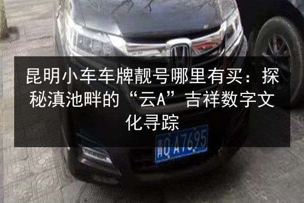 昆明小车车牌靓号哪里有买:探秘滇池畔的“云A”吉祥数字文化寻踪 第2张 昆明小车车牌靓号哪里有买:探秘滇池畔的“云A”吉祥数字文化寻踪 第2张