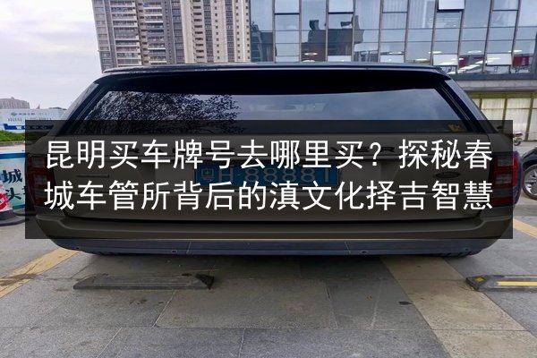 昆明买车牌号去哪里买?探秘春城车管所背后的滇文化择吉智慧 第2张 昆明买车牌号去哪里买?探秘春城车管所背后的滇文化择吉智慧 第2张